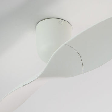 2 blade dc ceiling fan