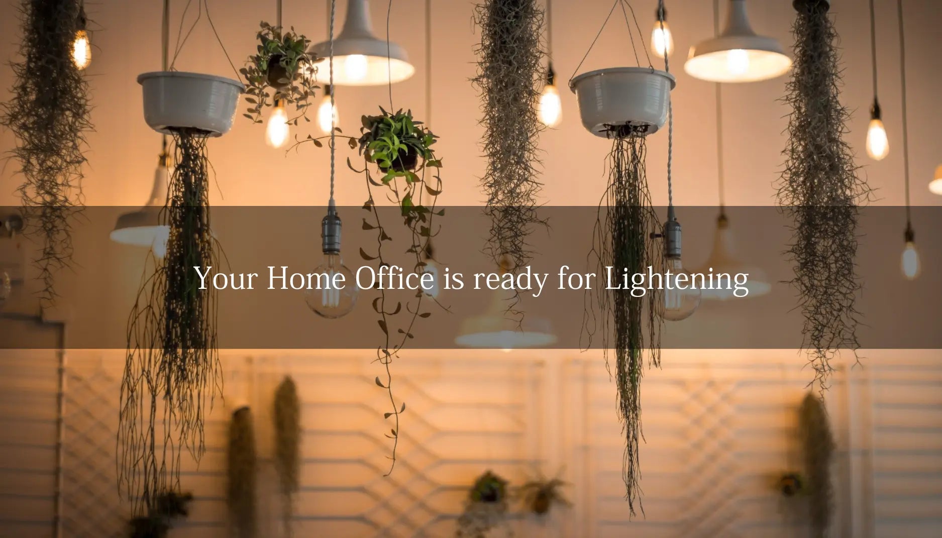 Home discount light shop