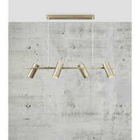 Alanis 4 Light Pendant Brass