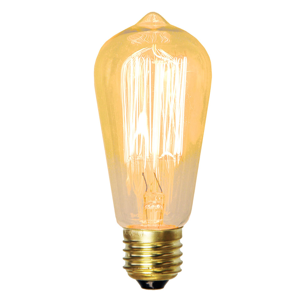 Vintage E27 Squirrel Cage Filament Lamp 25W