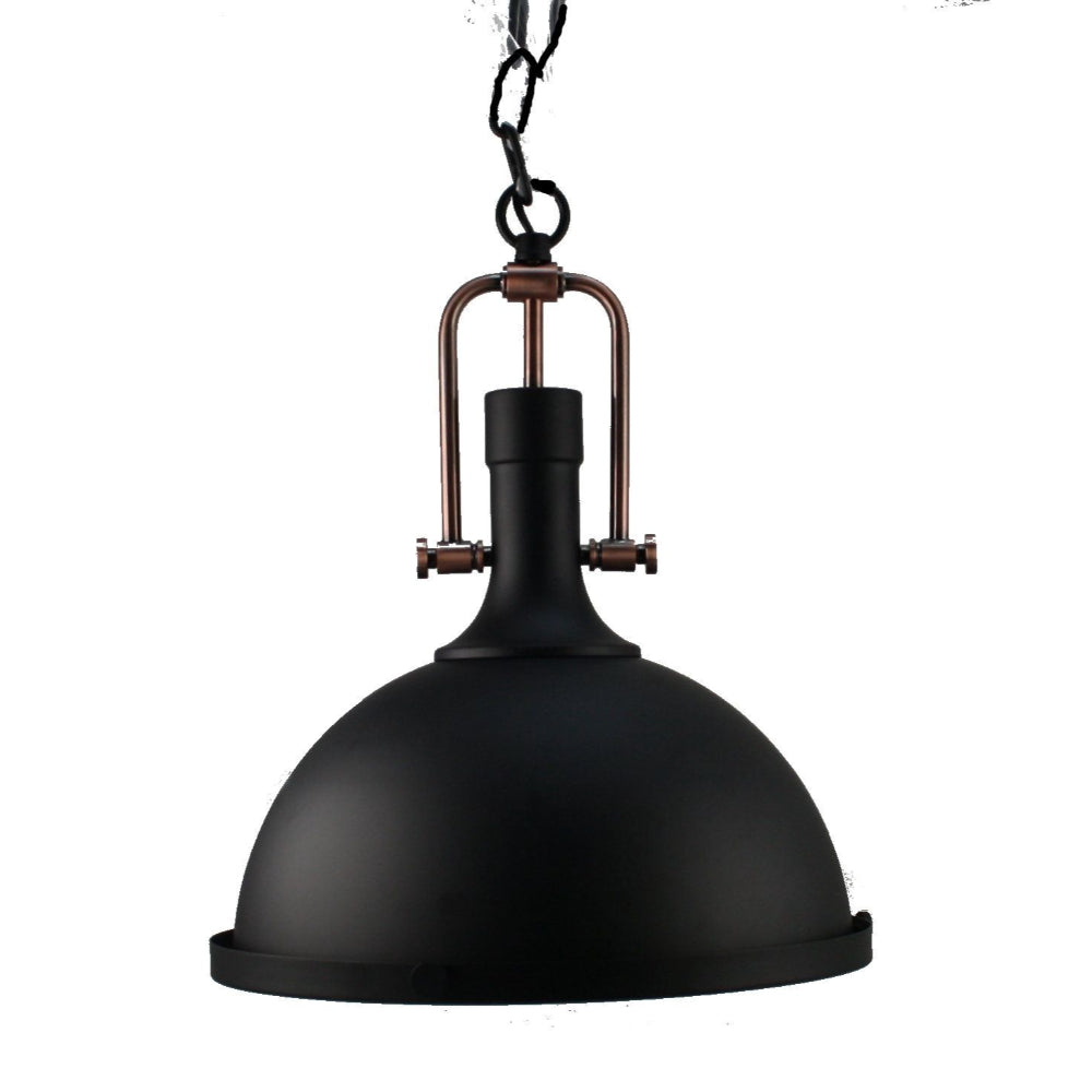 Black pendant light with bronze accents on a white background