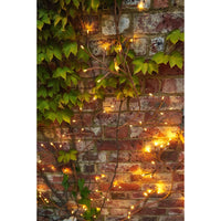 Solar Ivy Lights