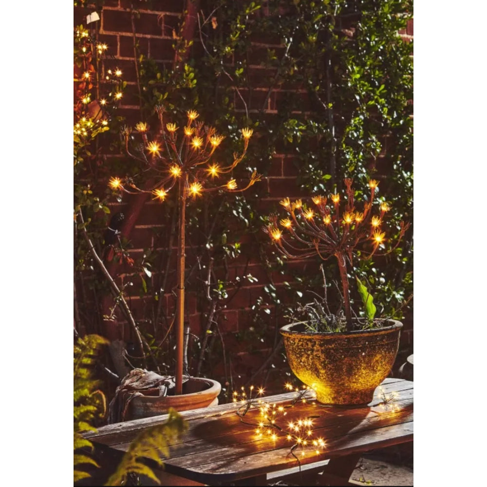 Decorative outdoor setup with string lights, potted plants, and a wooden table.