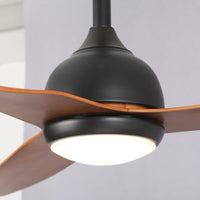 Ceiling Fan with Light
