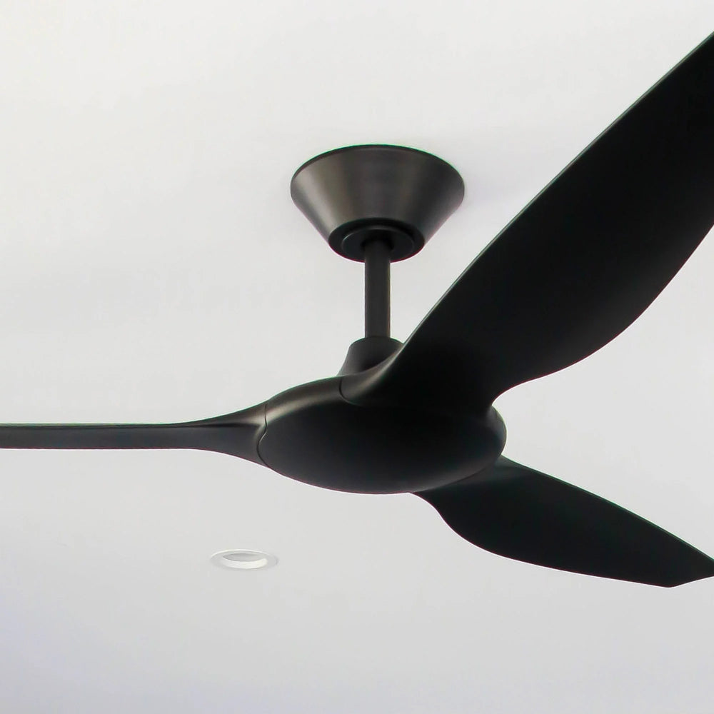 Black Ceiling Fan