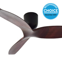 best ceiling fan with remote