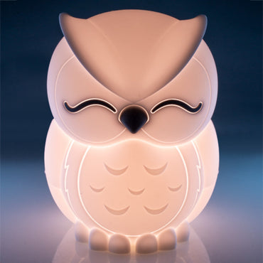 Lil Dreamers Touch Lamp Owl USB