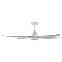 Ceiling Fan with Light